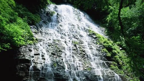 高标准智能智能